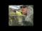 Tinyloc radio tracking sauve un drone senseFly eBee attaqué par un aigle