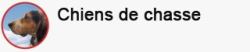 Retrouvez toujours vos chiens perdus ou blessés.
Expérimentez le pouvoir du premier et meilleur système de repérage GPS et radio tracking au monde. 